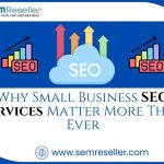 Why Small Business SEO Services Matter More Than Ever