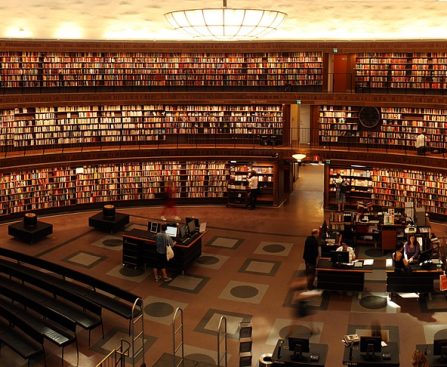 Books, students, library — Gap Year Abroad Program for Free-Spirited Students