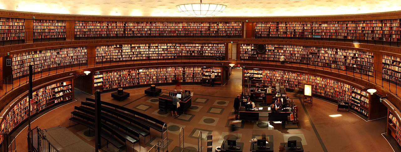 Books, students, library — Gap Year Abroad Program for Free-Spirited Students